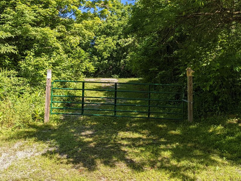 Gallia County Hunting Land for Sale : Patriot : Gallia County : Ohio