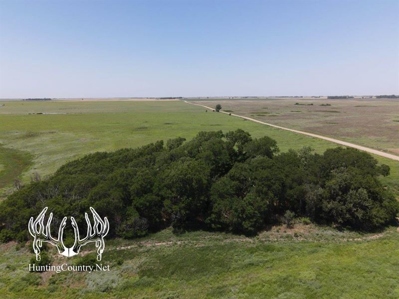 235 Acres M/L Pratt County, Kansas : Preston : Pratt County : Kansas