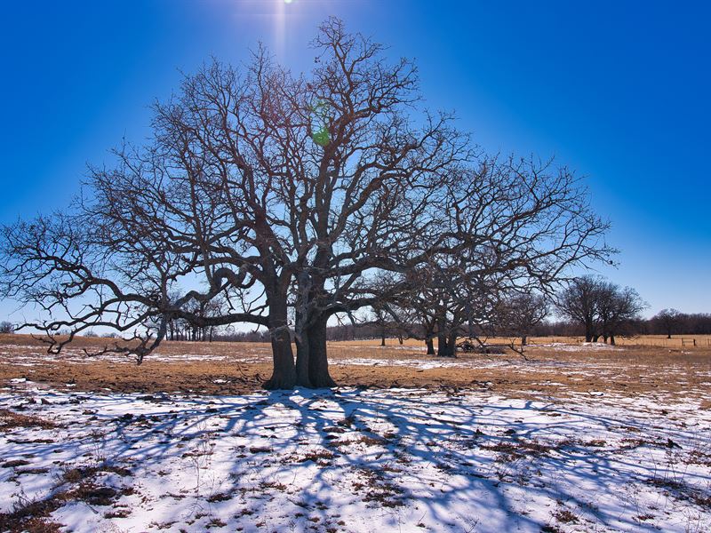 Wilson 100 : Wilson : Carter County : Oklahoma