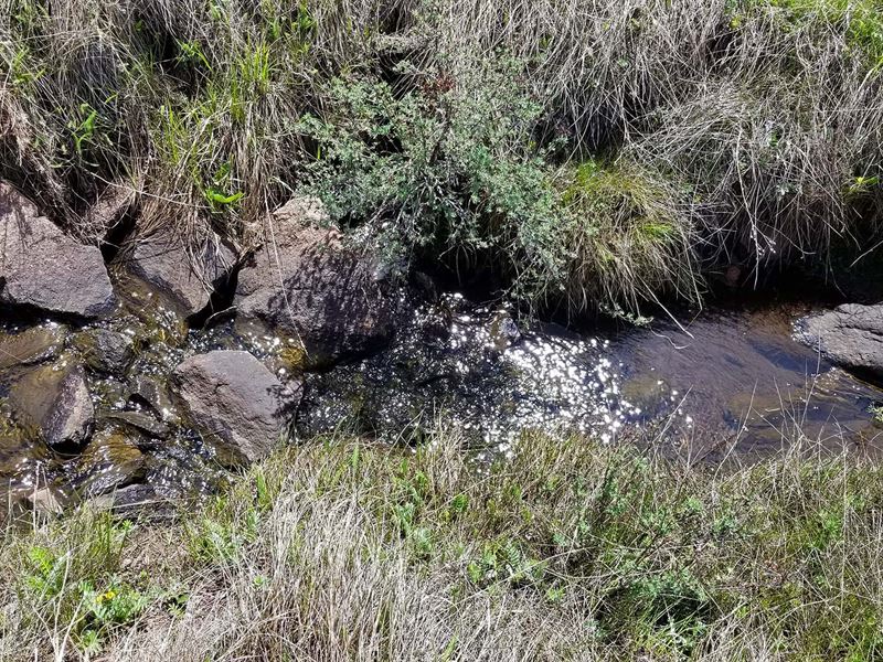 Mountain Creek : Cripple Creek : Teller County : Colorado