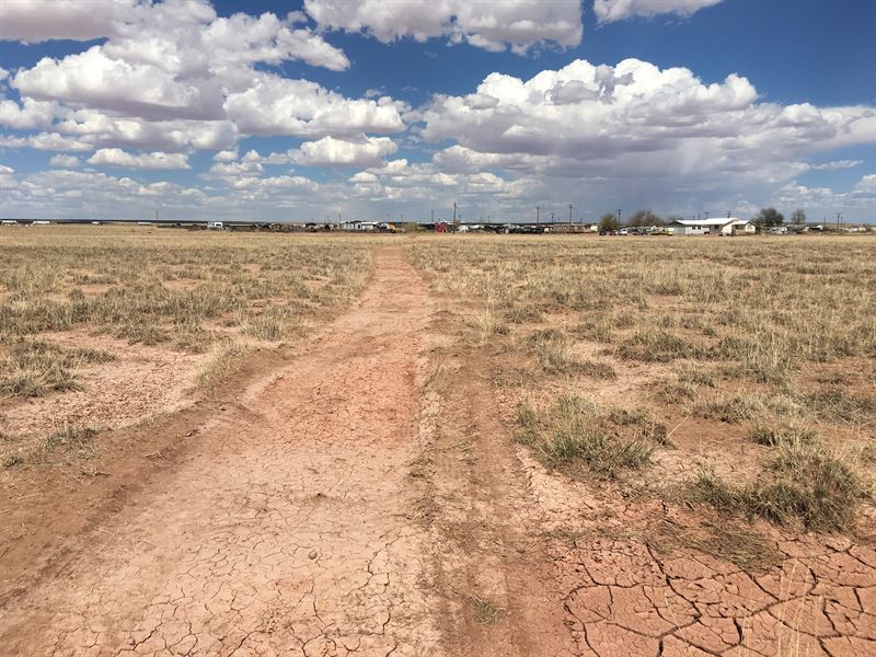 10 Acres with Power & Water : Hoolbrook : Navajo County : Arizona