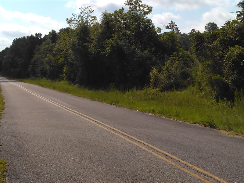 322 Acres in Paxton, FL : Paxton : Walton County : Florida