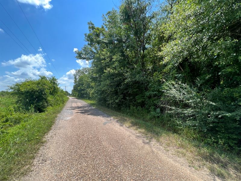 La, Catahoula 160 Acres : Jonesville : Catahoula Parish : Louisiana