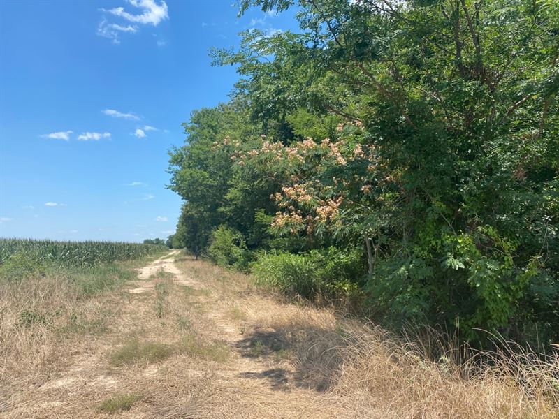 La, Richland 30 Acres : Rayville : Richland Parish : Louisiana