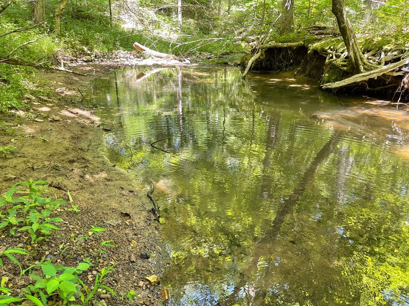306 Acres Exquisite Recreational : Glendale : Pope County : Illinois