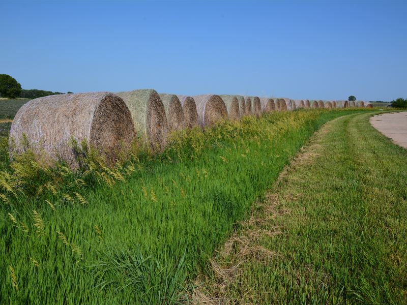 The Splendid Ottawa County Farm : Minneapolis : Ottawa County : Kansas
