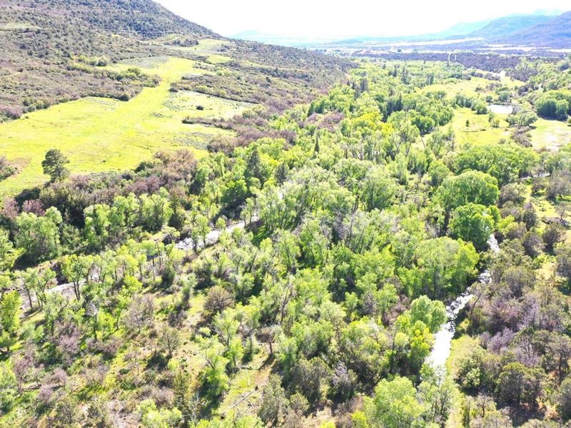 Plateau Creek Ranch : Collbran : Mesa County : Colorado