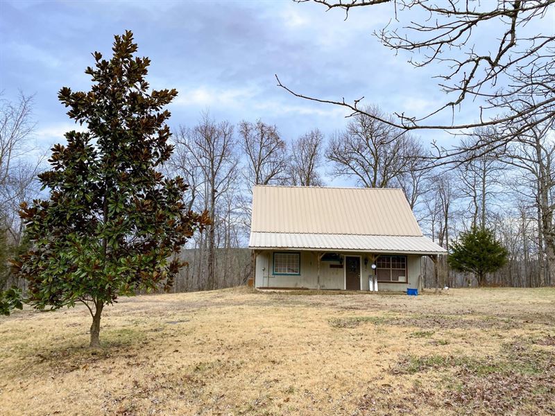 Home on 15 Acres in Shirley AR : Shirley : Van Buren County : Arkansas