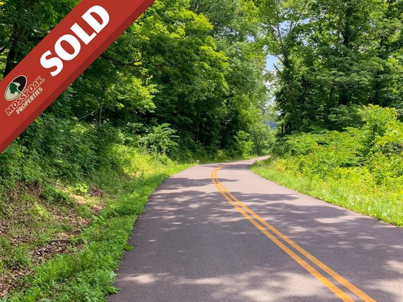 Little Bullskin Rd, 92 Acres, Gal : Patriot : Gallia County : Ohio