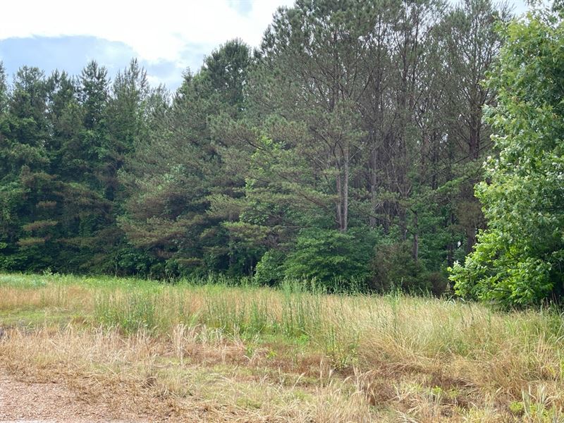 375 Acres in Choctaw County in Eupo : Eupora : Choctaw County : Mississippi