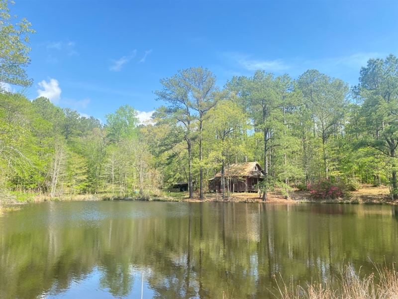 217 Acres with A Home in Smith Coun : Magee : Smith County : Mississippi
