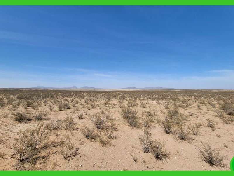 100 Acres in Hudspeth County, TX : Dell City : Hudspeth County : Texas