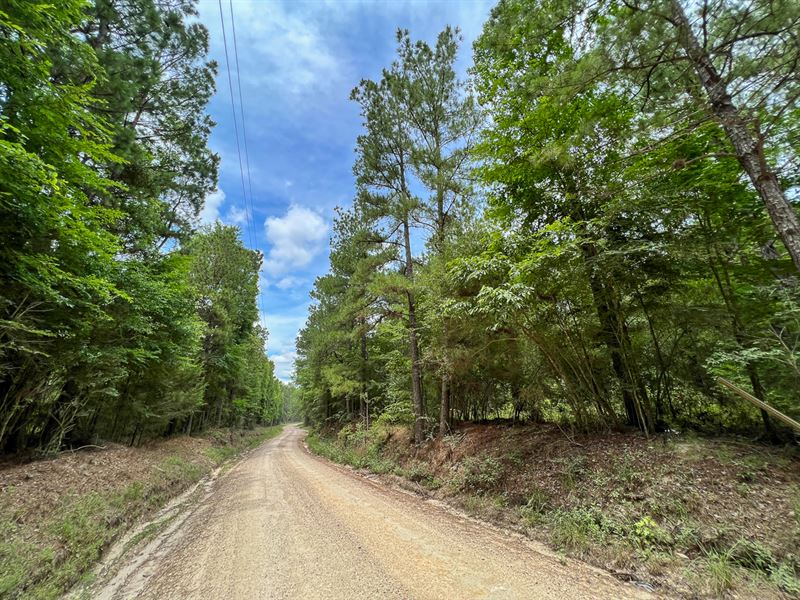 10 Acres, T-5A Howell Rd : Corrigan : Polk County : Texas