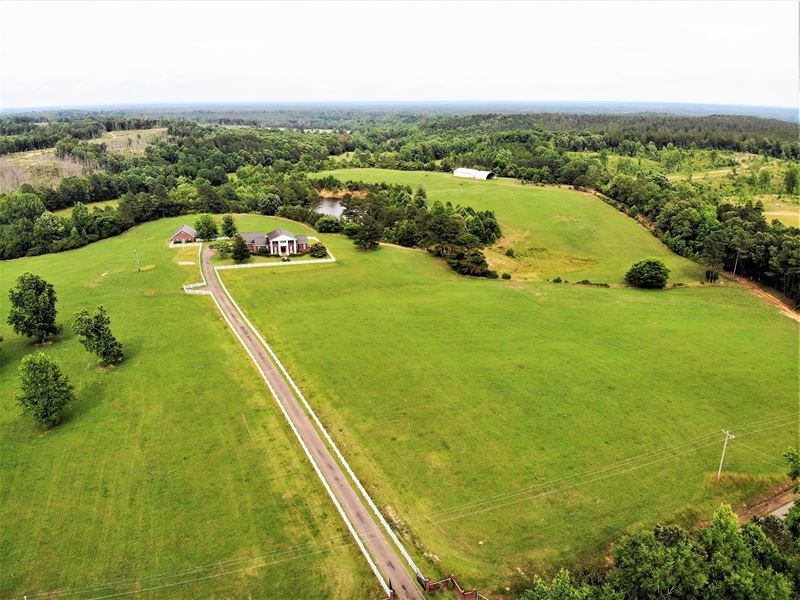 Home Combined with All 597+/- Acres : Stantonville : McNairy County : Tennessee
