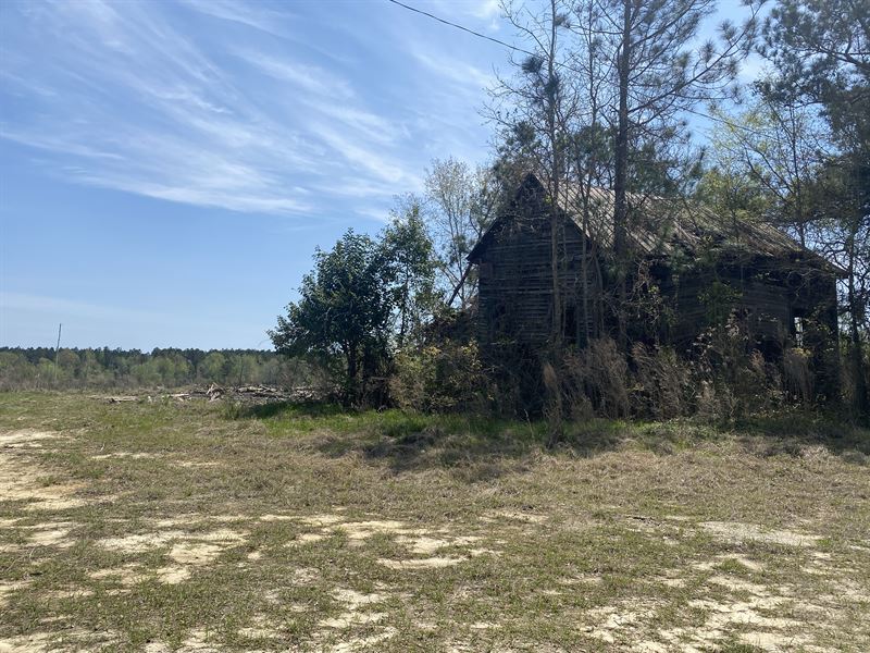 Acreage Close to Town : Wrightsville : Johnson County : Georgia