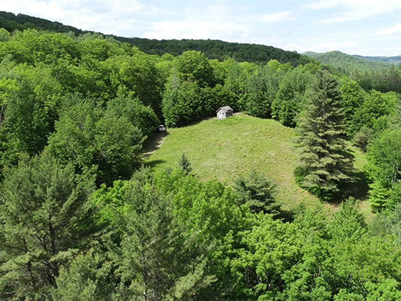 Little Cabin Forest : Topsham : Orange County : Vermont