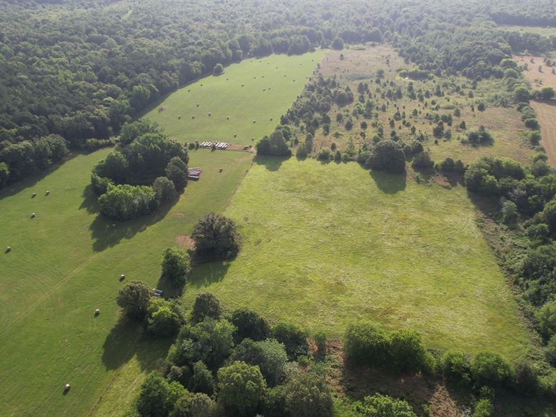 Country Living & Unrestricted : Omaha : Morris County : Texas