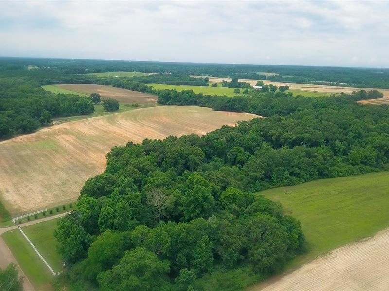 49 Acres of Woodland & Cultivation : Ashford : Houston County : Alabama
