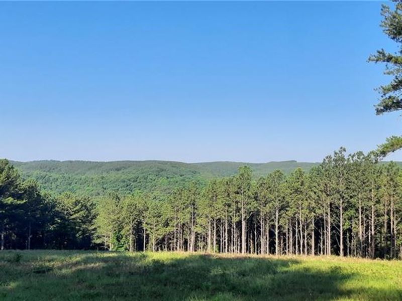 Land with Stunning Mountain Views : Talking Rock : Pickens County : Georgia