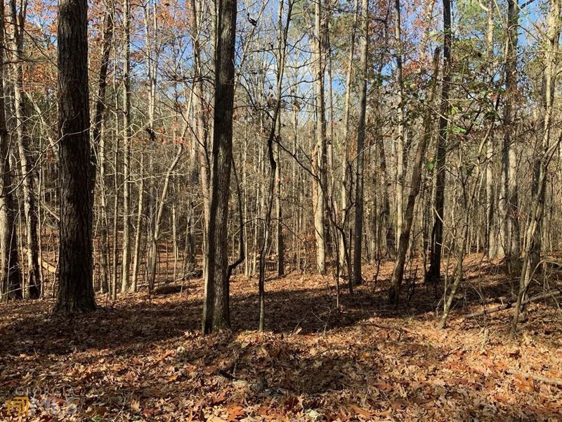 Beautiful 26 Acre Tract in Madison : Madison : Morgan County : Georgia