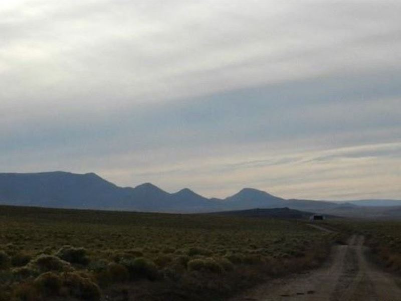 At Only $220 a Month It's a Steal : Nance Blvd : Costilla County : Colorado