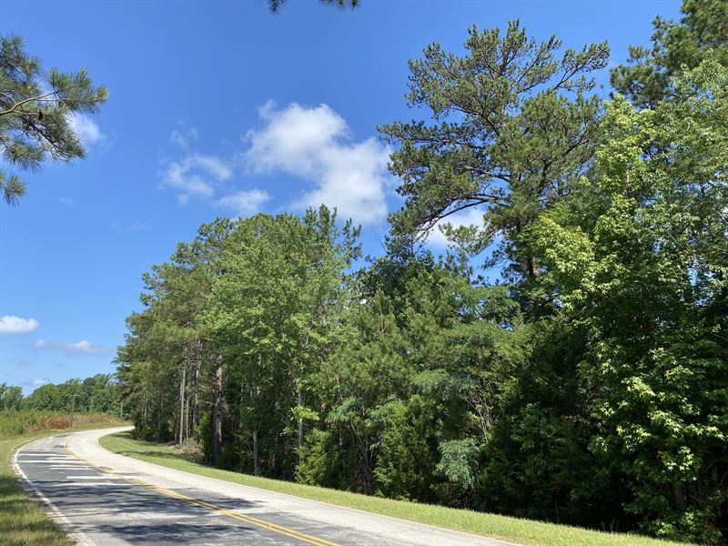 White Oak Woods : White Oak : Fairfield County : South Carolina