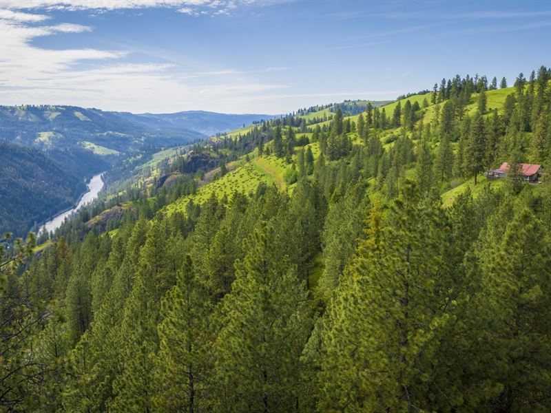 Two Home Mountain Getaway : Orofino : Clearwater County : Idaho
