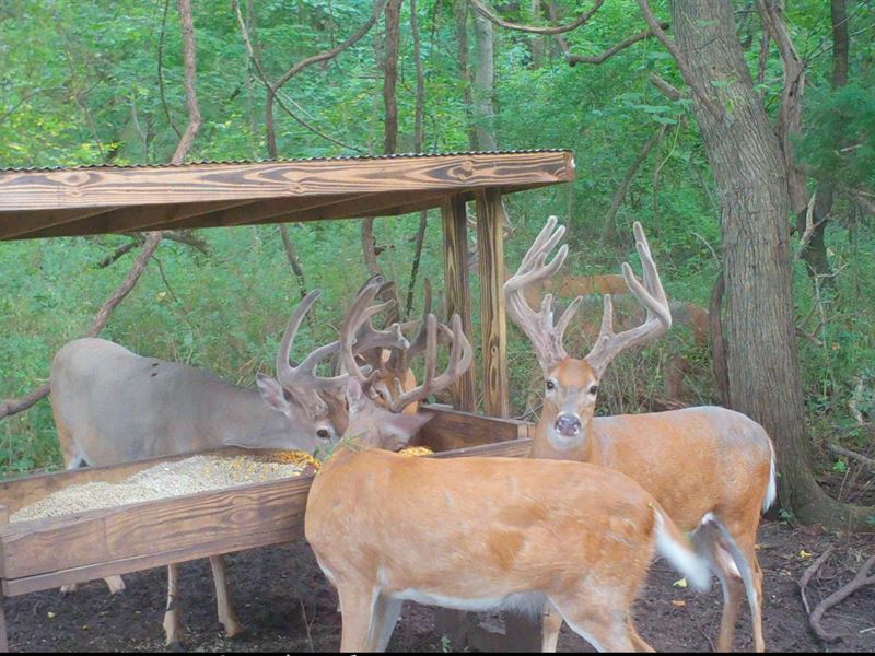 Twin Oaks Paradise : Lawrence : Douglas County : Kansas