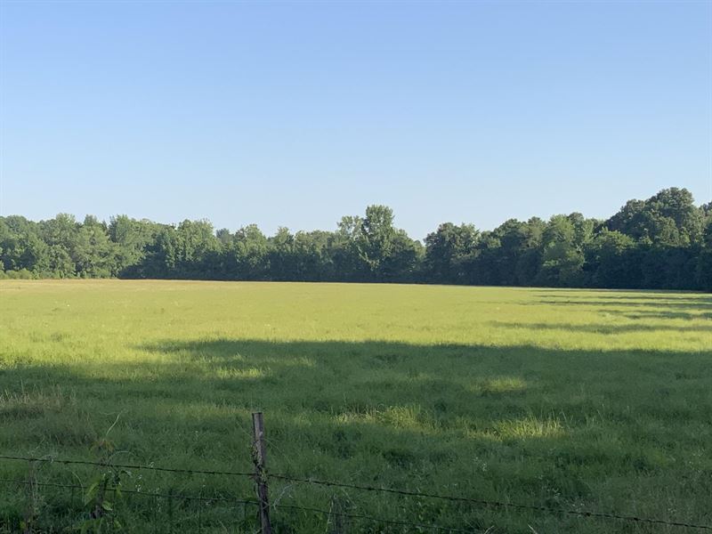 80 Acres with Sorghum & Wheat Ba : Rector : Clay County : Arkansas
