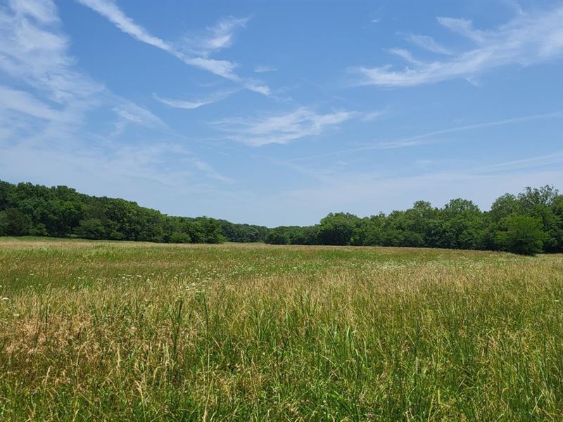 85 Acre Farm in Hickory County, Cl : Hermitage : Hickory County : Missouri