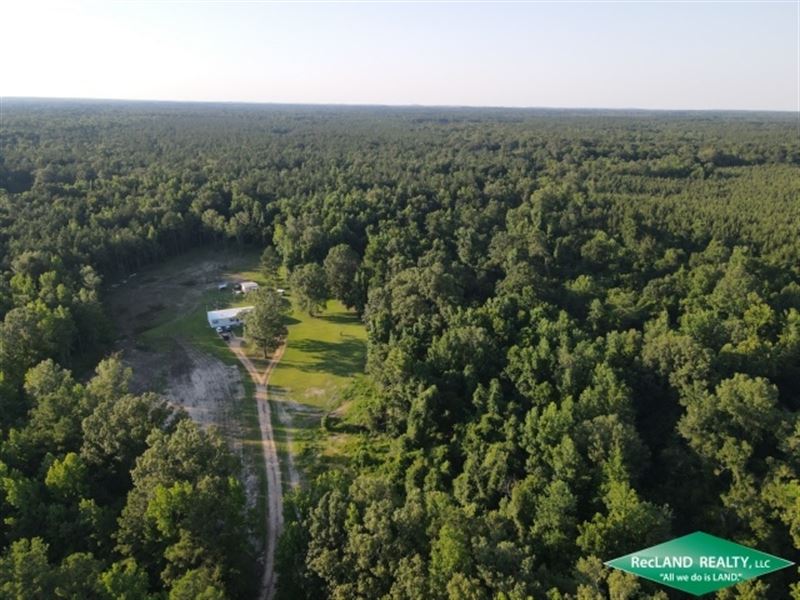 17 Ac, Wooded Tract with Home, Pr : Aimwell : Catahoula Parish : Louisiana