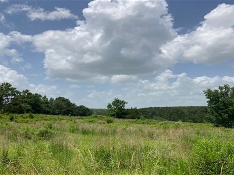 175 Acres in Kemper County in Dekal : De Kalb : Kemper County : Mississippi