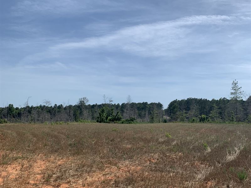 Piney Grove Tract : Comer : Oglethorpe County : Georgia