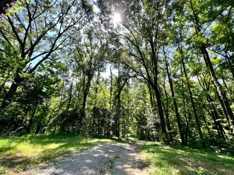 51 Robins Lake Rd, Woodville, MS : Natchez : Adams County : Mississippi