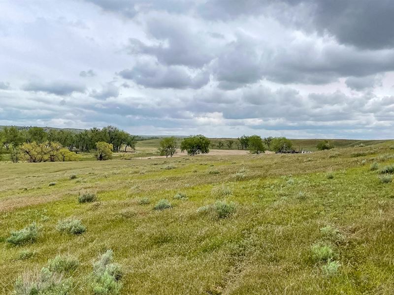 Baker 320, WY : Guernsey : Goshen County : Wyoming