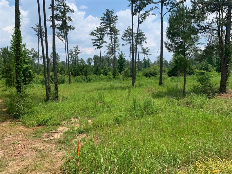 Beautiful North Georgia Estate Lot : Rome : Floyd County : Georgia