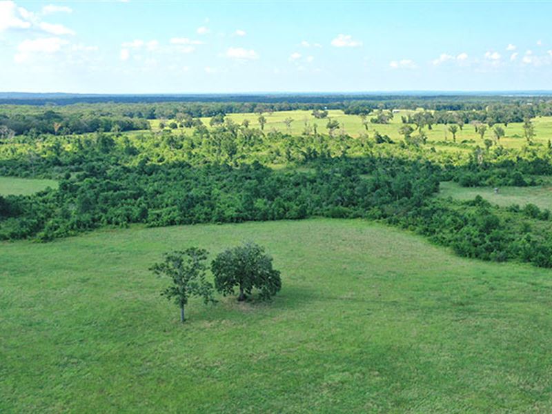 Centerville Hunting Bargain : Centerville : Leon County : Texas