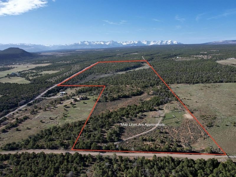 Colorado Mountain Land for Sale Wit : Montrose : Ouray County : Colorado