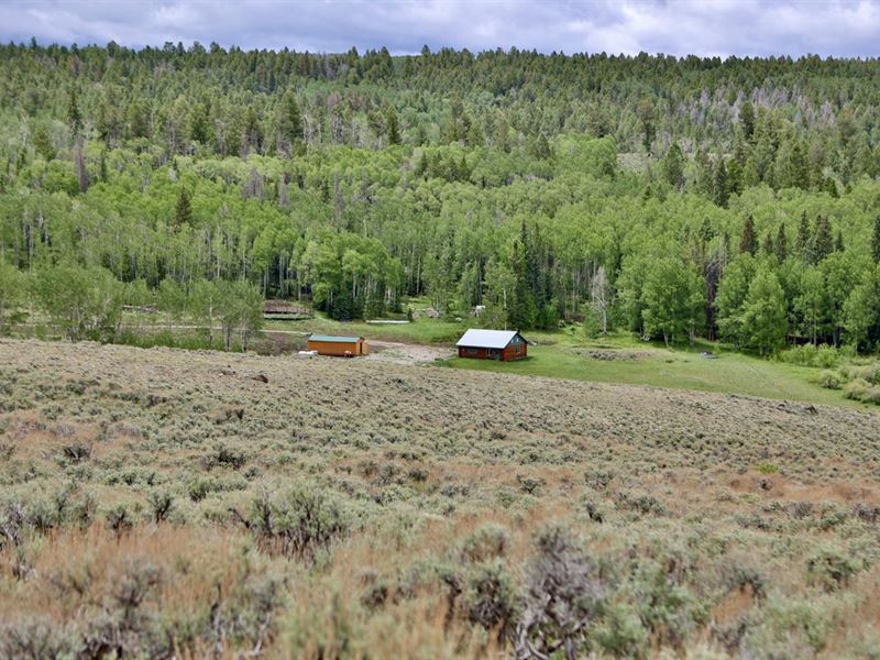 Colorado Mountain Hunting Cabin Wit : Gunnison : Saguache County : Colorado