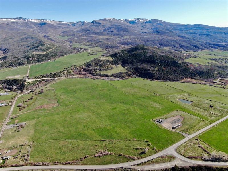 Year-Round Cattle Operation Has Win : Collbran : Mesa County : Colorado