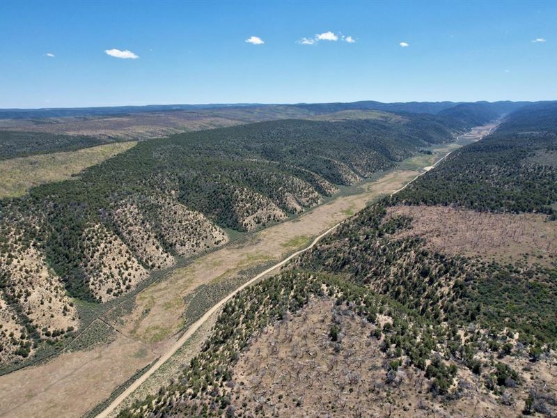 Colorado Mountain 120 Acres With Hu : Rifle : Rio Blanco County : Colorado