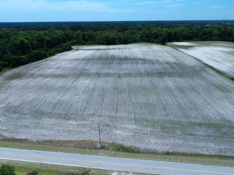 Nice Farm in a Quiet Rural Area : Fairmont : Robeson County : North Carolina