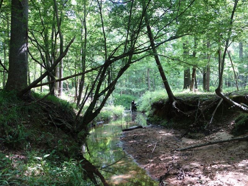 Hunting Land Under $3000 Per Acre : Winnsboro : Fairfield County : South Carolina