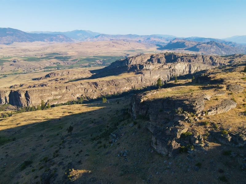 20 Acres Off-Grid Hunting Land : Tonasket : Okanogan County : Washington