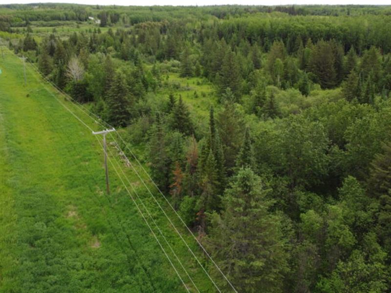 13.87 Acres with Power in Angora : Angora : Saint Louis County : Minnesota