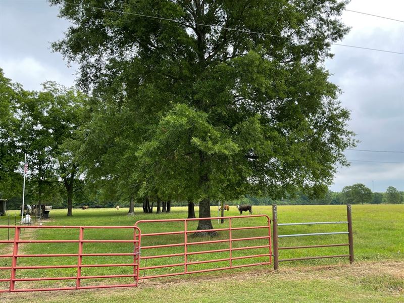 La, West Carroll 18.6 Acres : Epps : West Carroll Parish : Louisiana