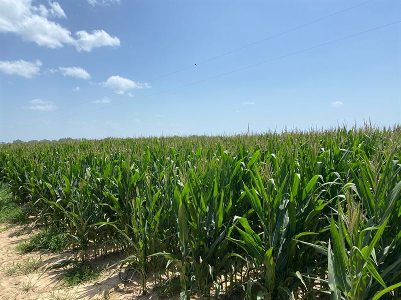 La, Franklin 40 Acres : Baskin : Franklin Parish : Louisiana