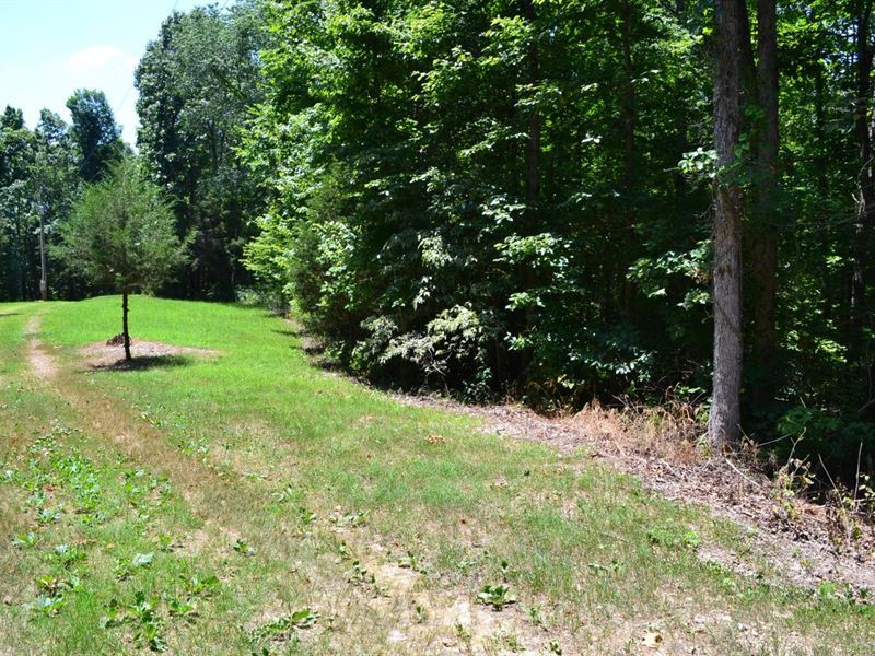 19.75 Acres Just Minutes From : Harriet : Searcy County : Arkansas