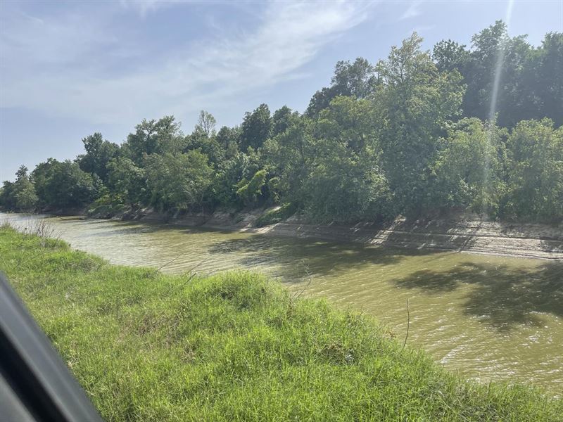 Cache River Duck Hole : Bono : Lawrence County : Arkansas