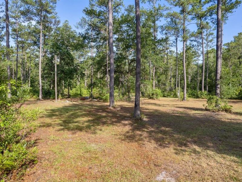 3155 SW Oregon Trl : Greenville : Madison County : Florida